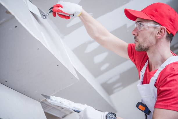 Best Fire-Damaged Drywall Repair  in Greenbelt, MD